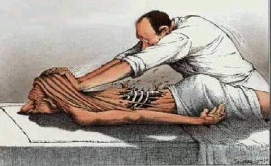 82219416_878962882545574_1165231864424693760_n