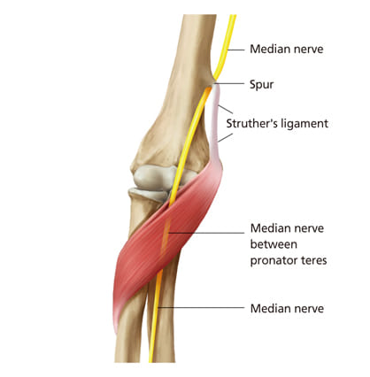 83942923_880995319008997_1990632305638506496_n